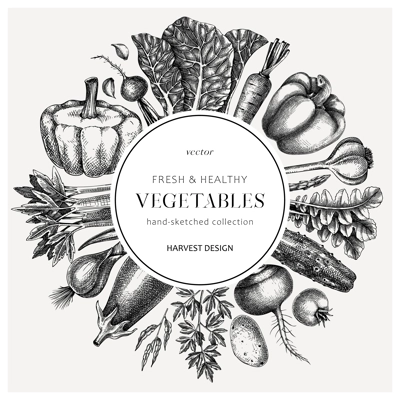 Hand-sketched Vegetable frame. Hand-drawn tomatoes, squashes, peppers, potatoes, asparagus and other vegetables design. Healthy food background for menu, recipe, restaurant, packaging